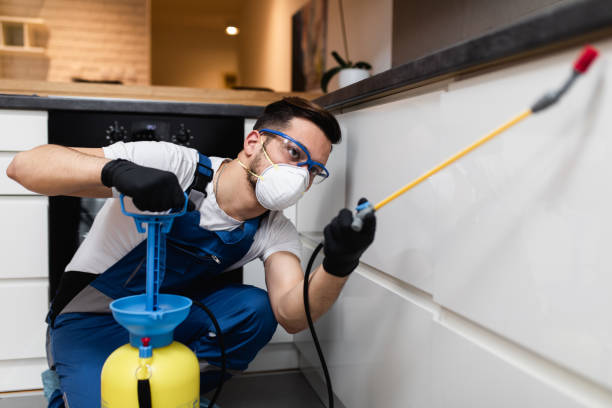 Best Mosquito Control Services  in Jackson, GA