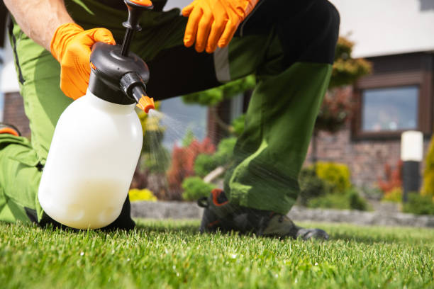 Insect Control in Jackson, GA