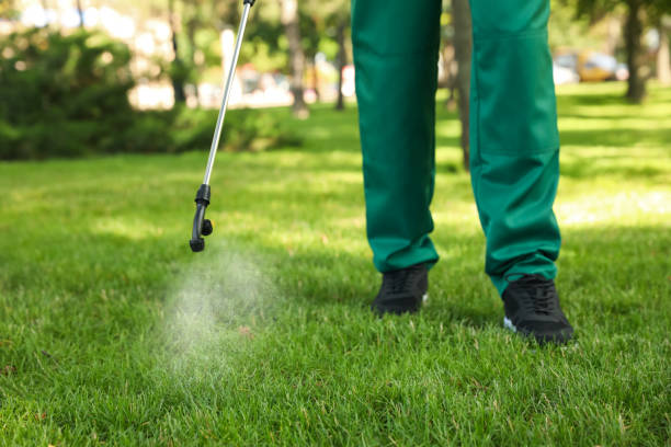 Best Residential Pest Control  in Jackson, GA
