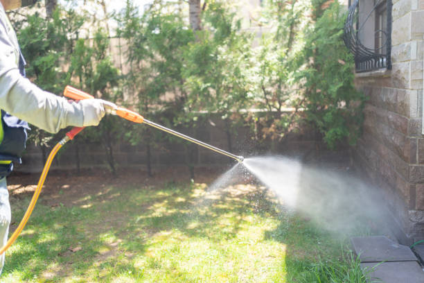 Wildlife Control Services in Jackson, GA