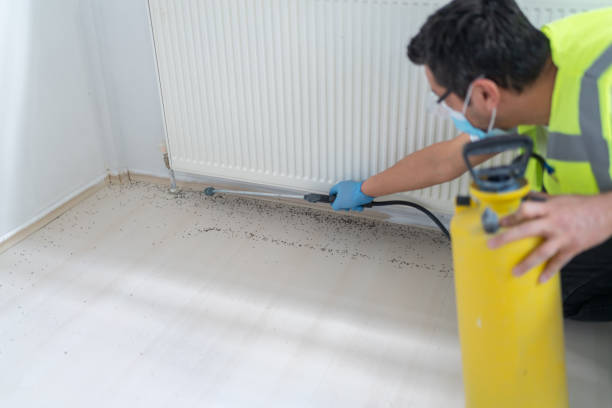 Best Pest Prevention Services  in Jackson, GA