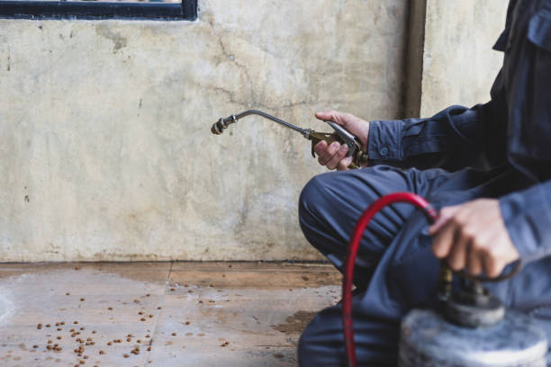 Reliable Jackson, GA Pest Control Solutions